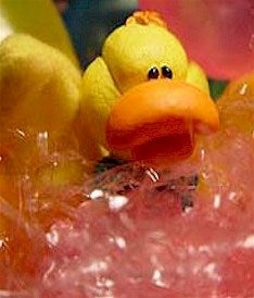 Serendipity™ Fragrance Oil