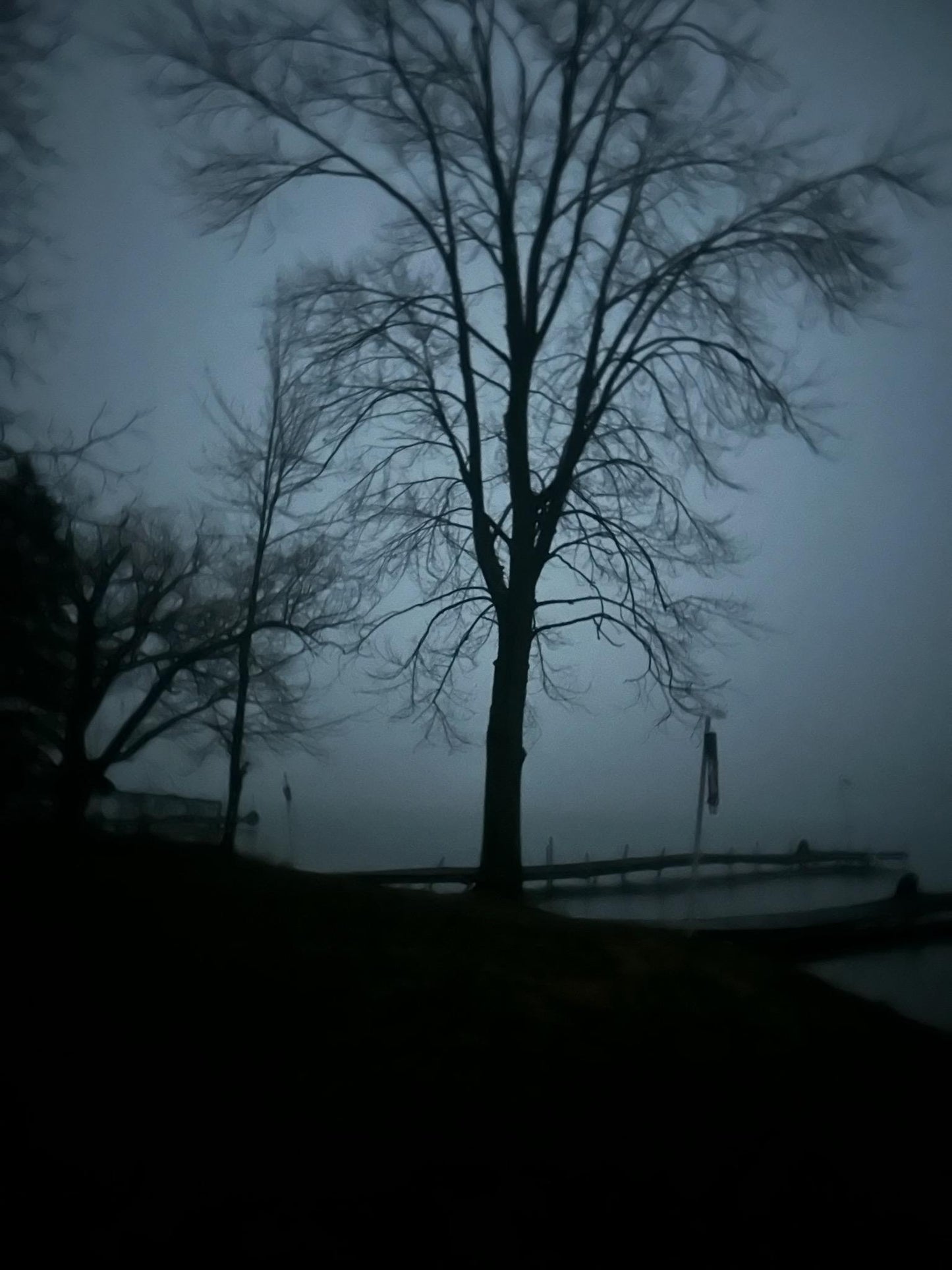 Spooky Tree