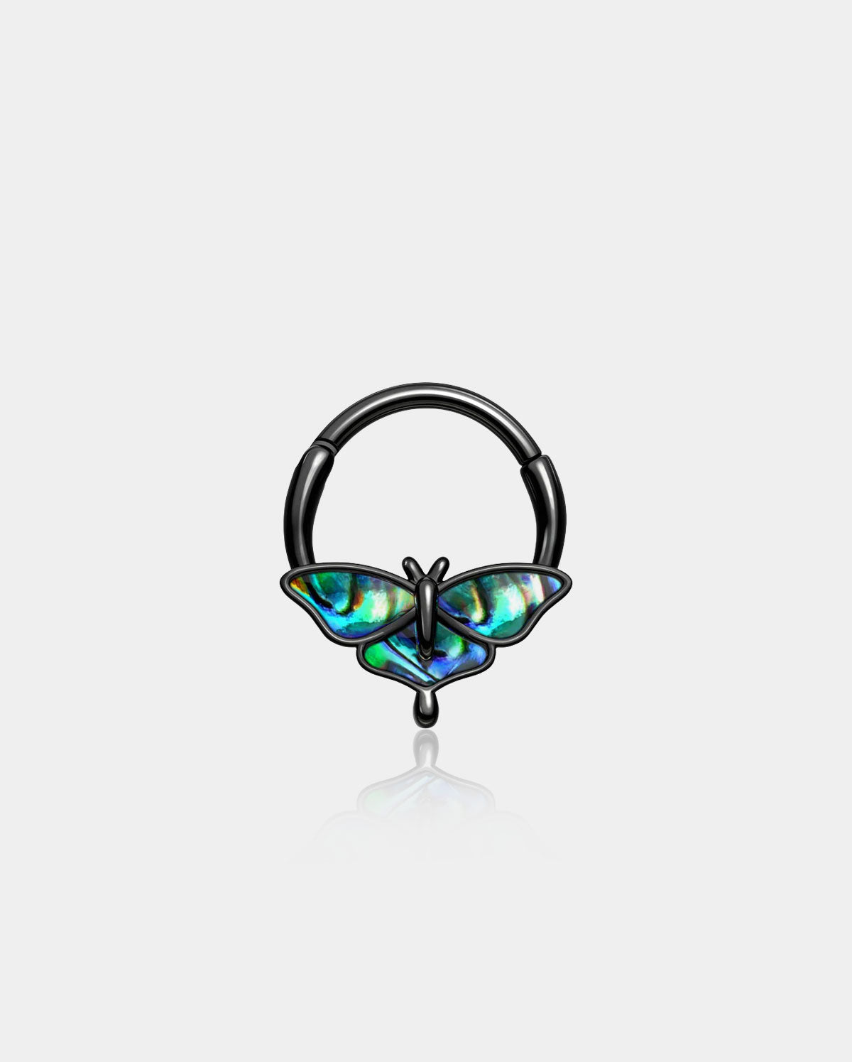 Abalone Moth Segment Septum Ring