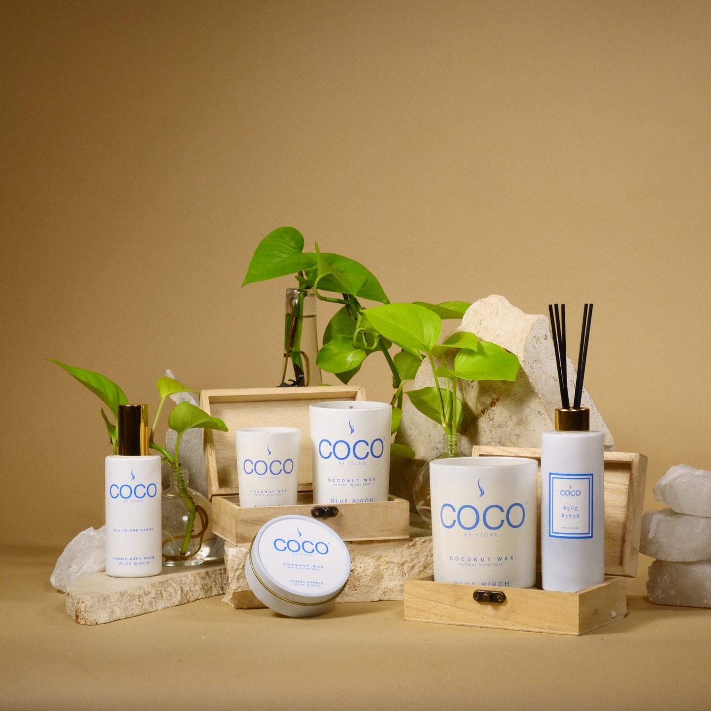 5oz Blue Birch Reed Diffuser