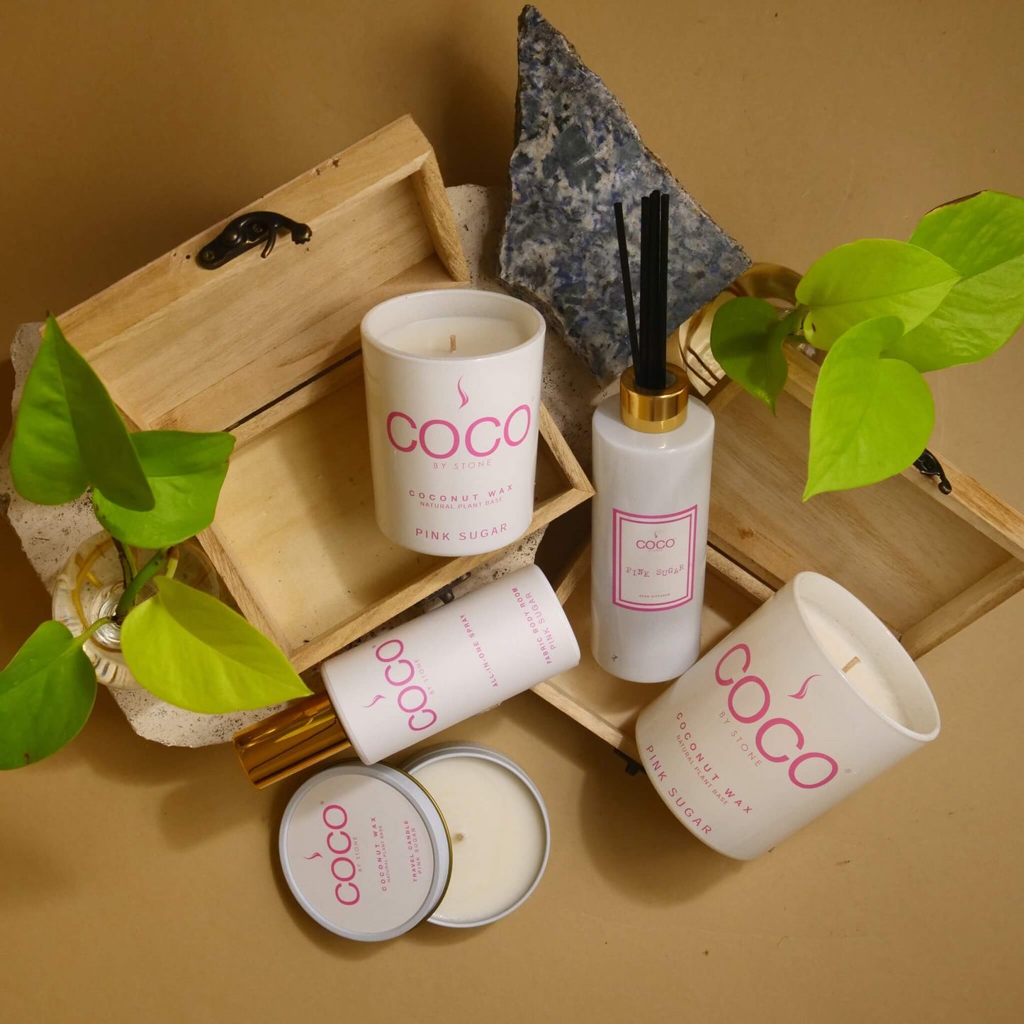Pink Sugar Natural Coconut Apricot Wax Candle