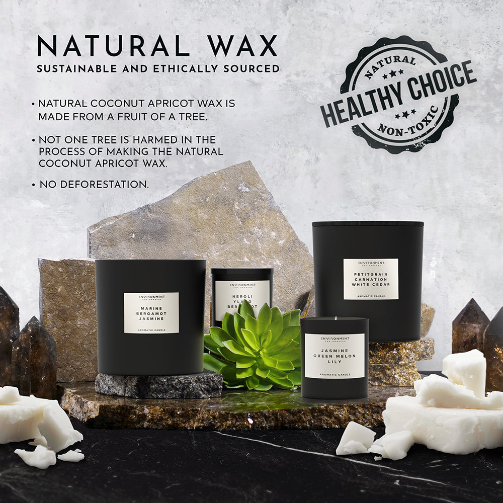 8oz White Tea | Cedar | Aloe Vera Candle with Lid and Box (Inspired by Westin Hotel®)