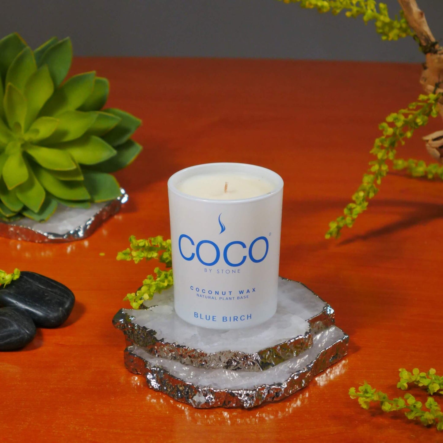 Blue Birch Natural Coconut Apricot Wax Candle