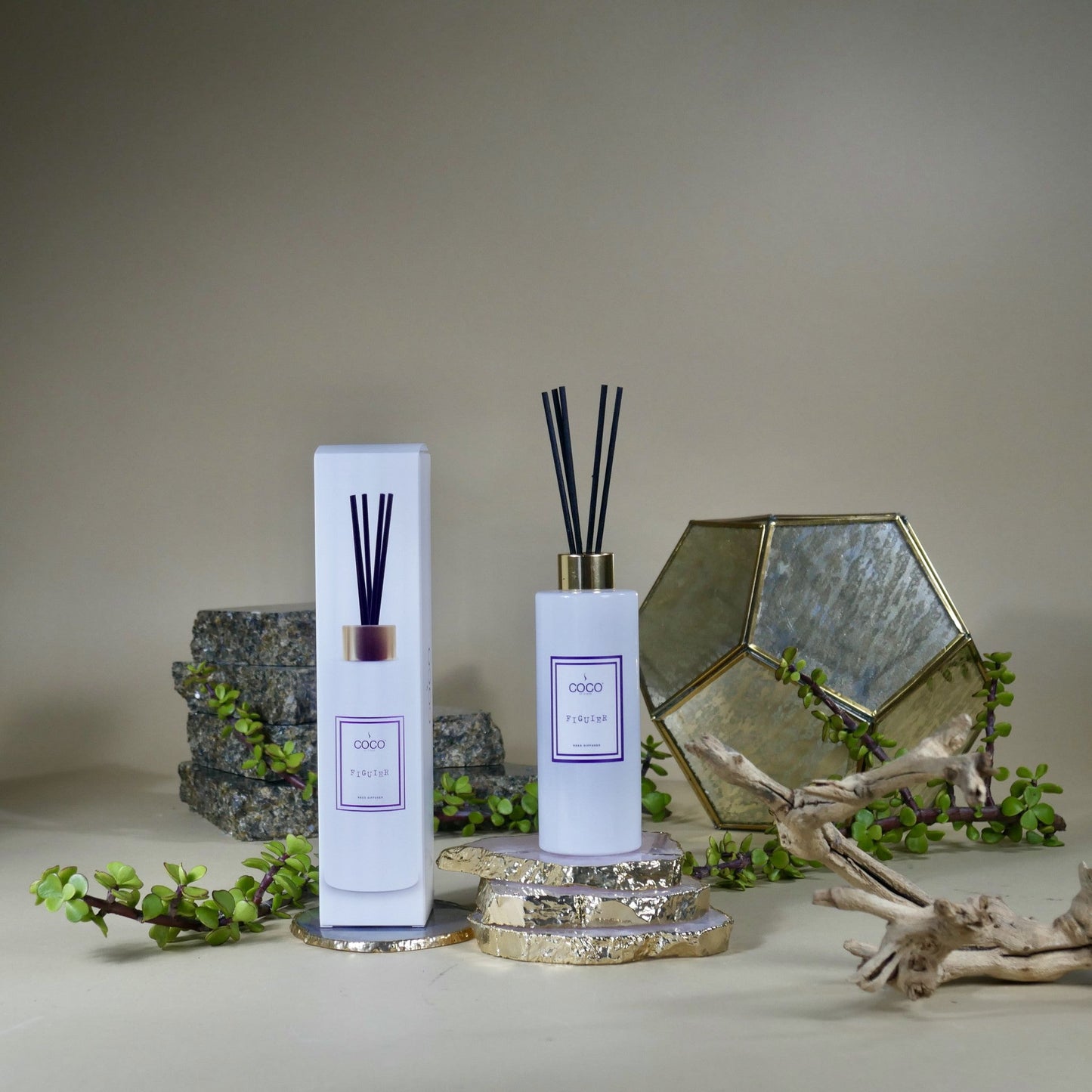 5oz Figuier Reed Diffuser