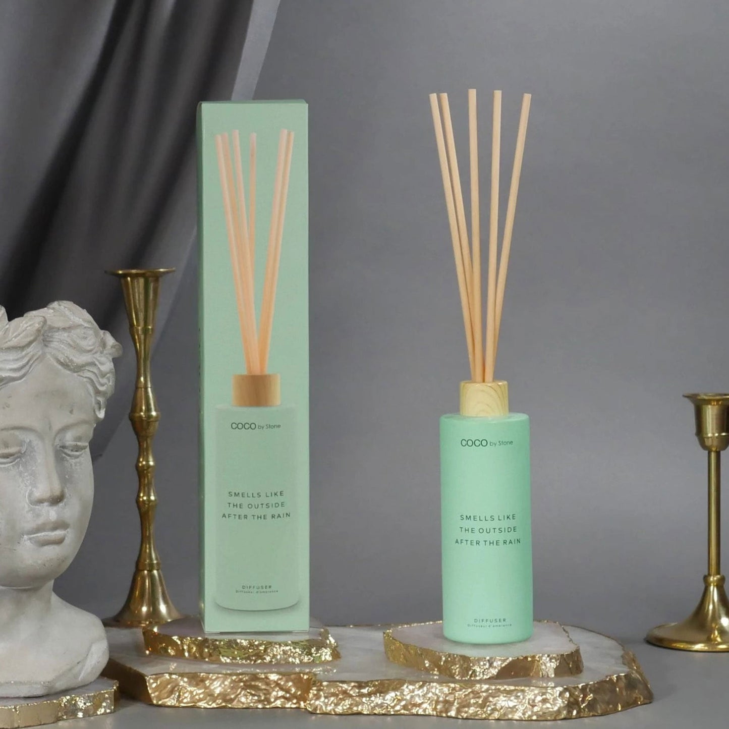 5oz Smells Like The Outside After The Rain Reed Diffuser