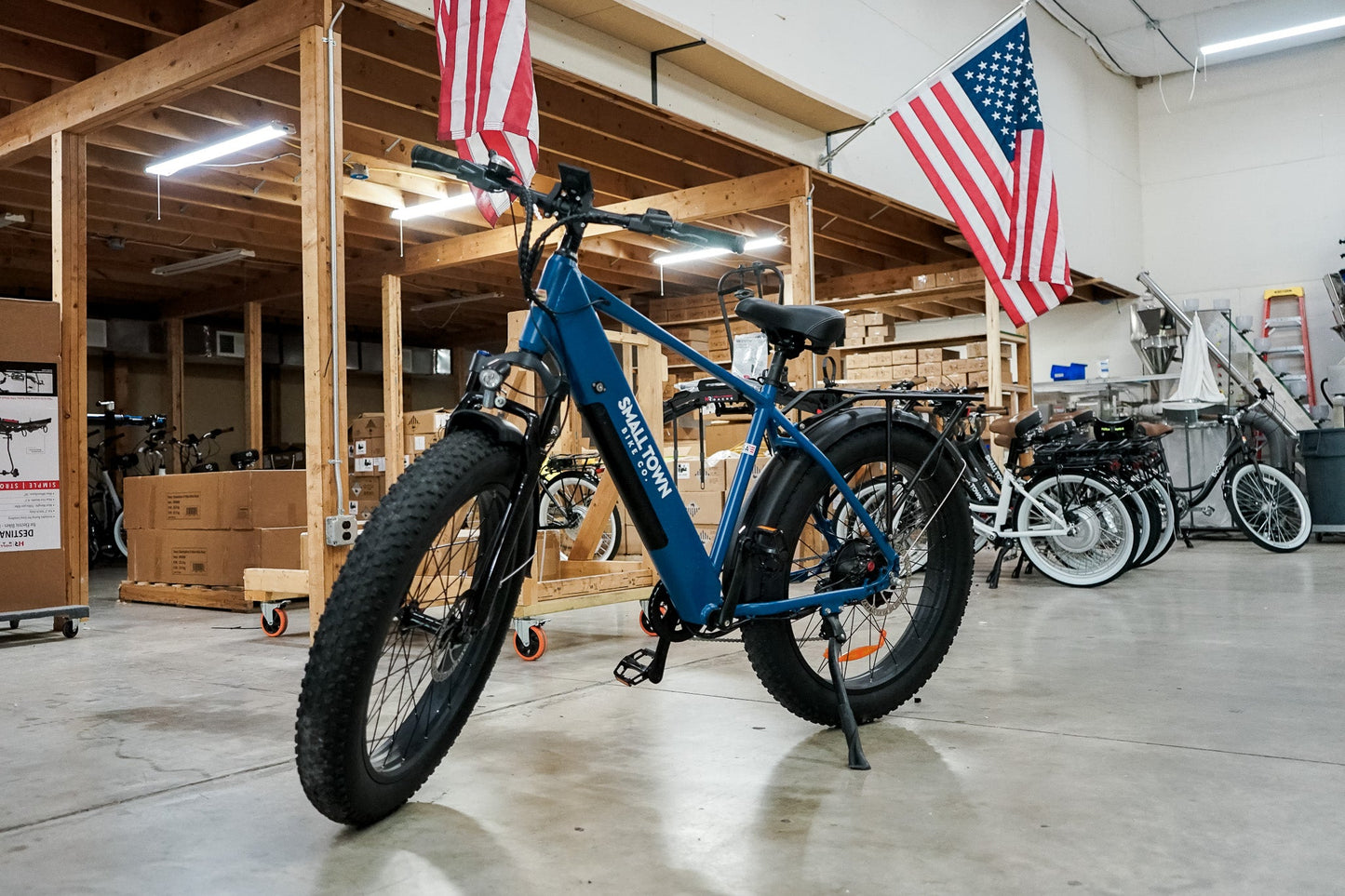 Fat Tire Electric Bike