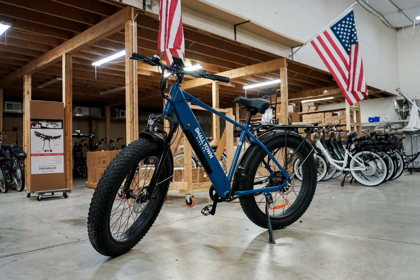 Fat Tire Electric Bike