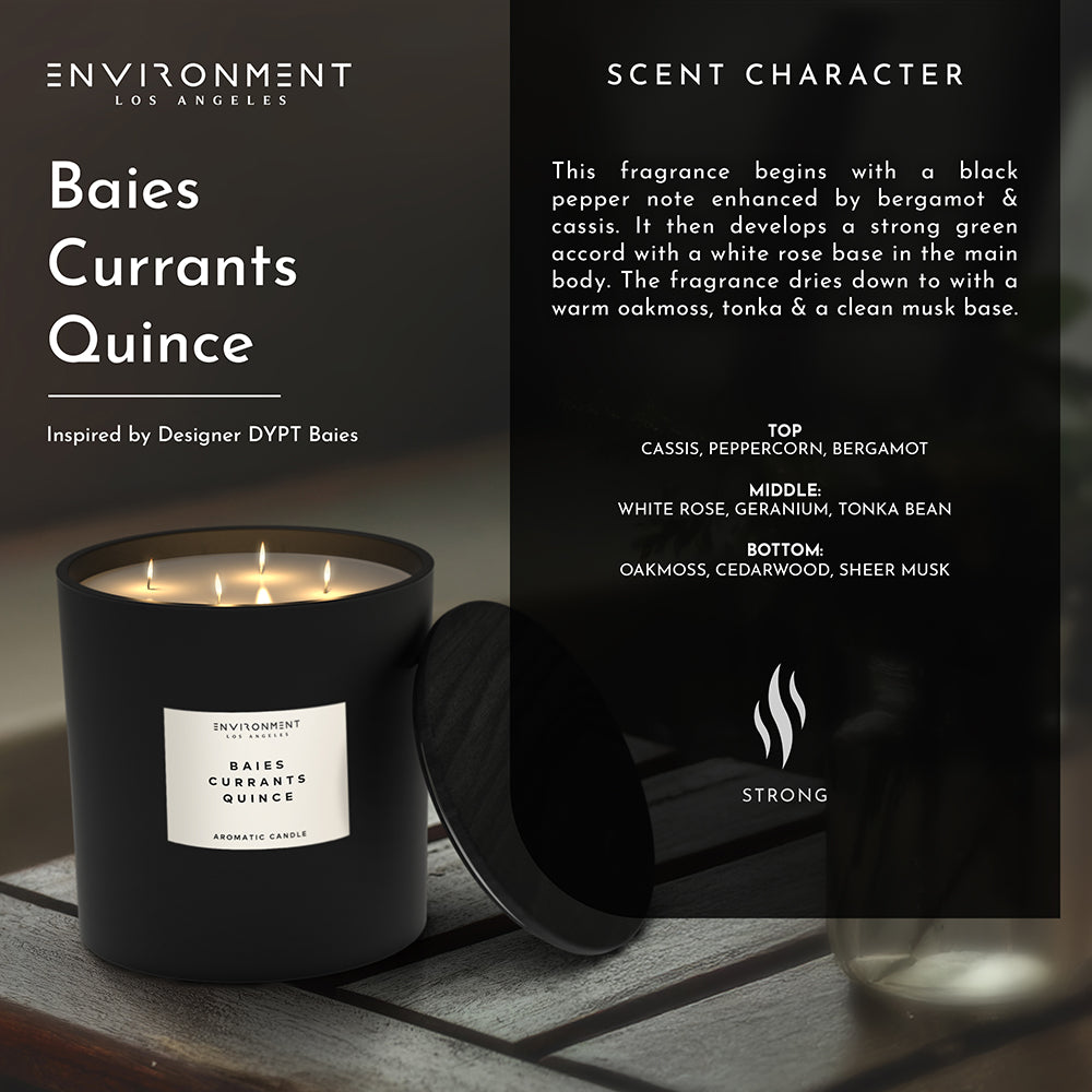 55oz Baies | Currants | Quince Candle (Inspired by Diptyque Baies®)