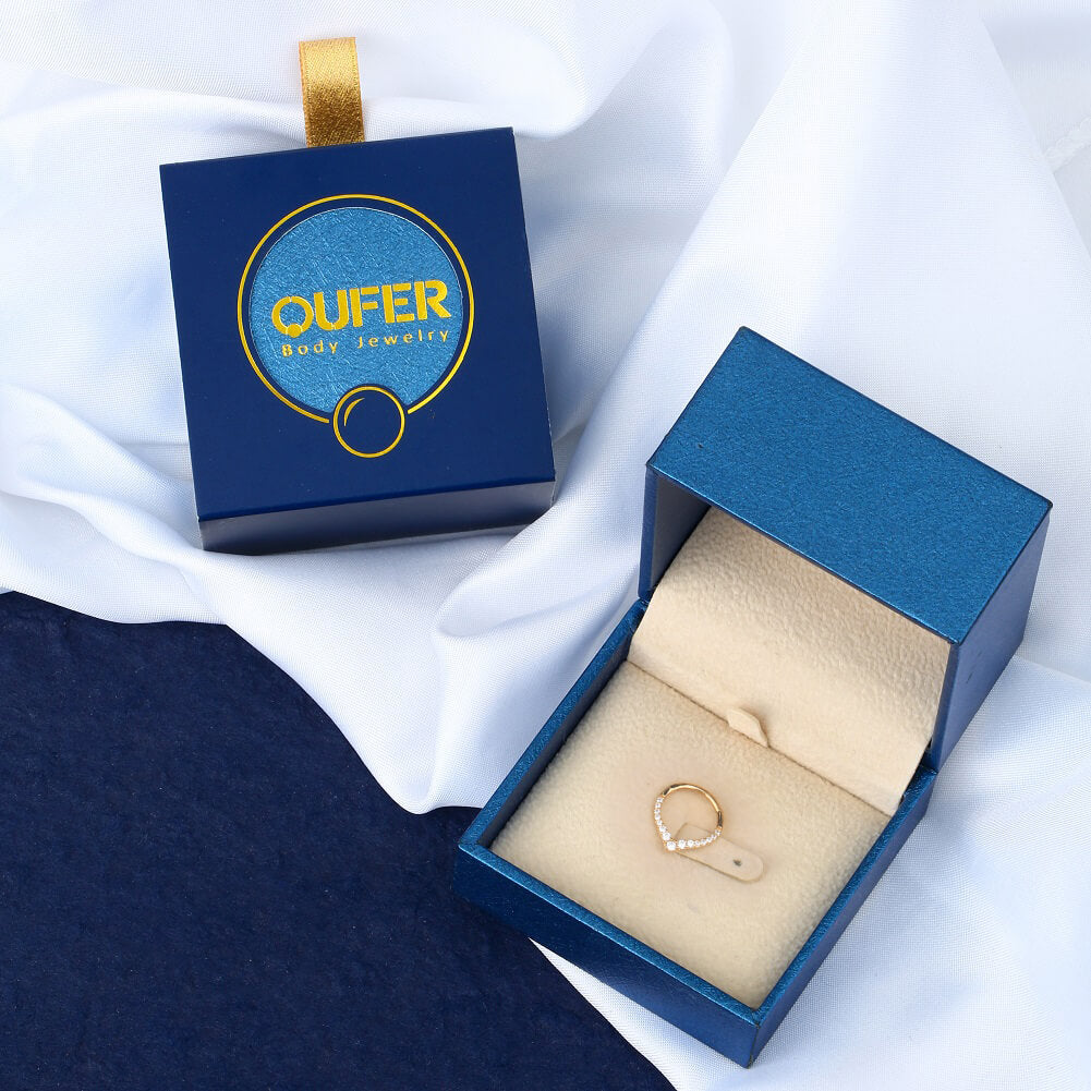 14K Gold CZ V-Shape Segment Septum Ring