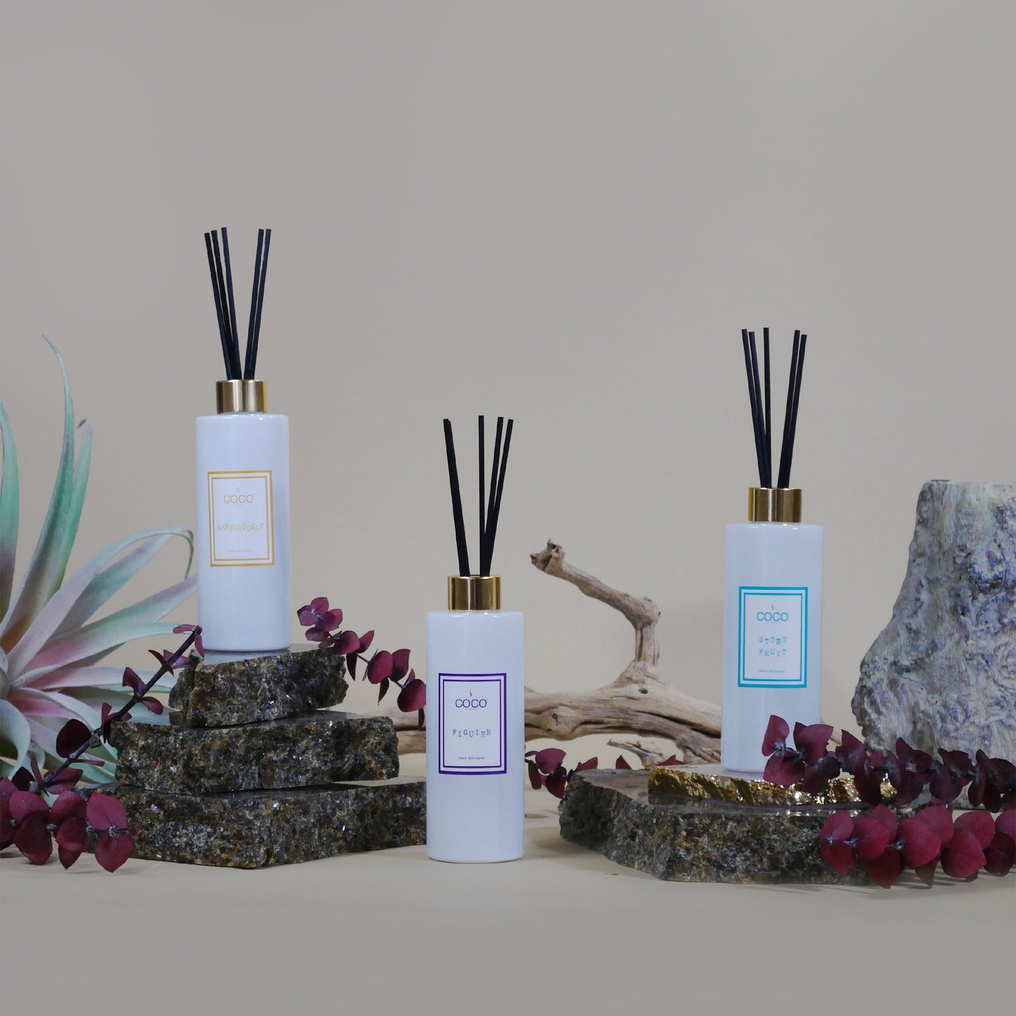 5oz Figuier Reed Diffuser
