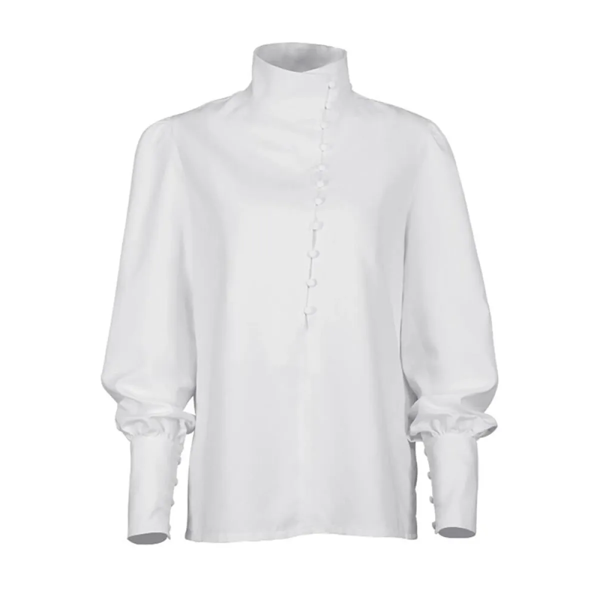 Elegant Turtleneck Blouse