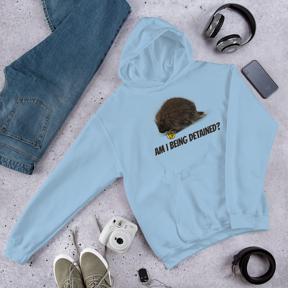 Am I Being detained? Alaska LP Unisex Hoodie