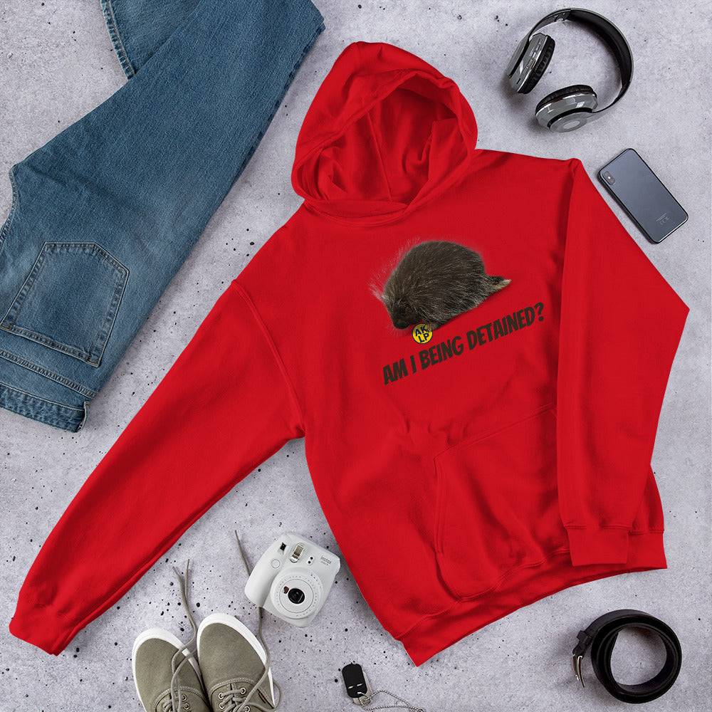 Am I Being detained? Alaska LP Unisex Hoodie