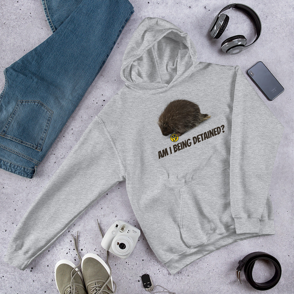 Am I Being detained? Alaska LP Unisex Hoodie