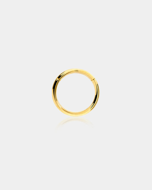 18G 14K Gold Segment Nose Hoop