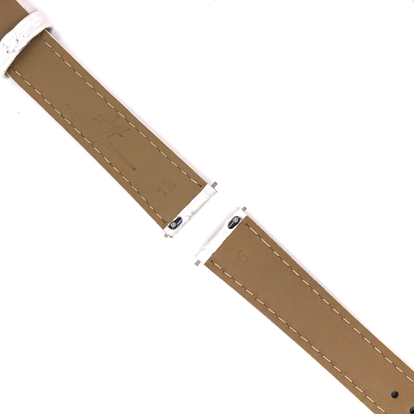 BAND - 16mm Alligator