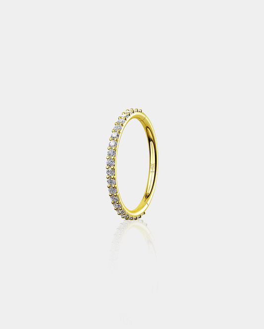 18G 14K Gold Crystal CZ Segment Nose Hoop