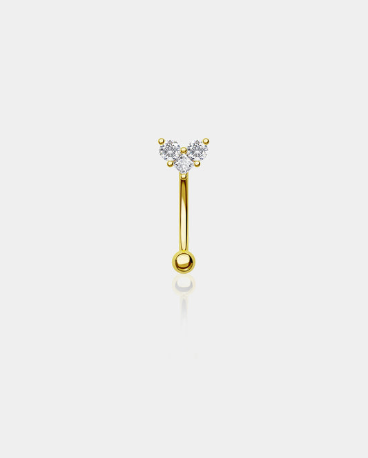 14K Gold Heart Shape CZ Rook Earring