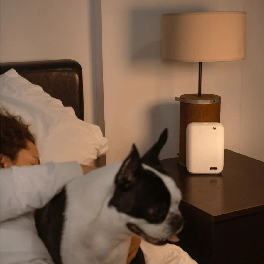 ARO X25 - Bluetooth Smart Scent Diffuser up to 1,000 Sqft.