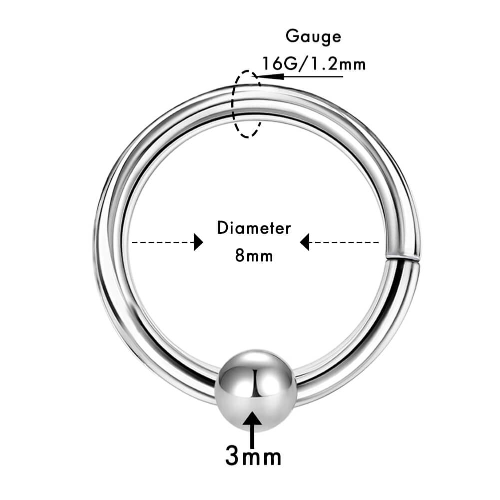 2PCS Classical Hinged Segment Septum Rings
