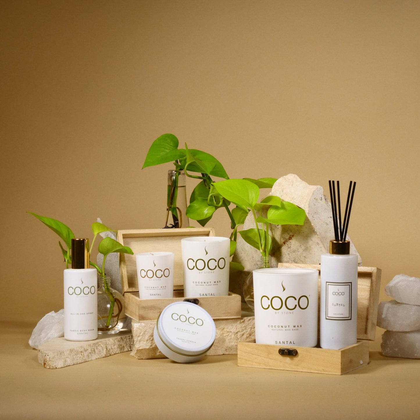 5oz Santal Reed Diffuser