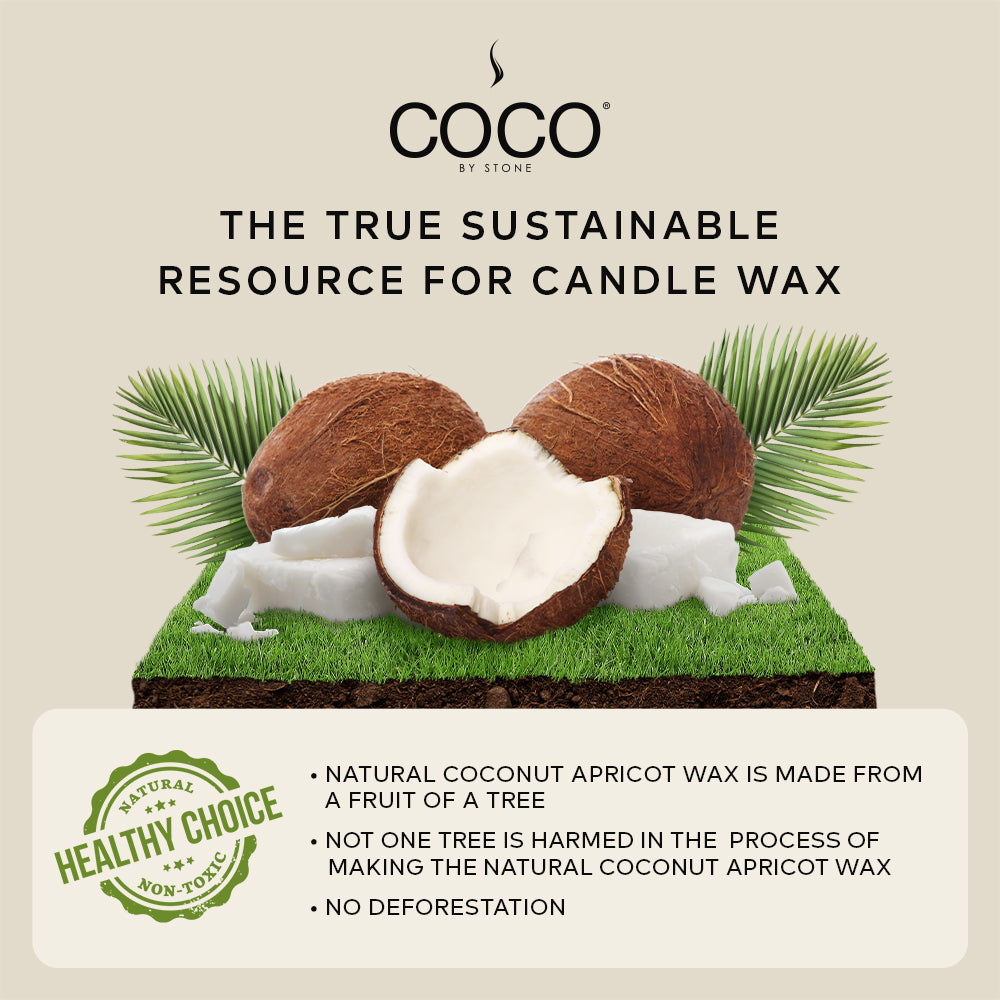 White Tea Natural Coconut Apricot Wax Candle