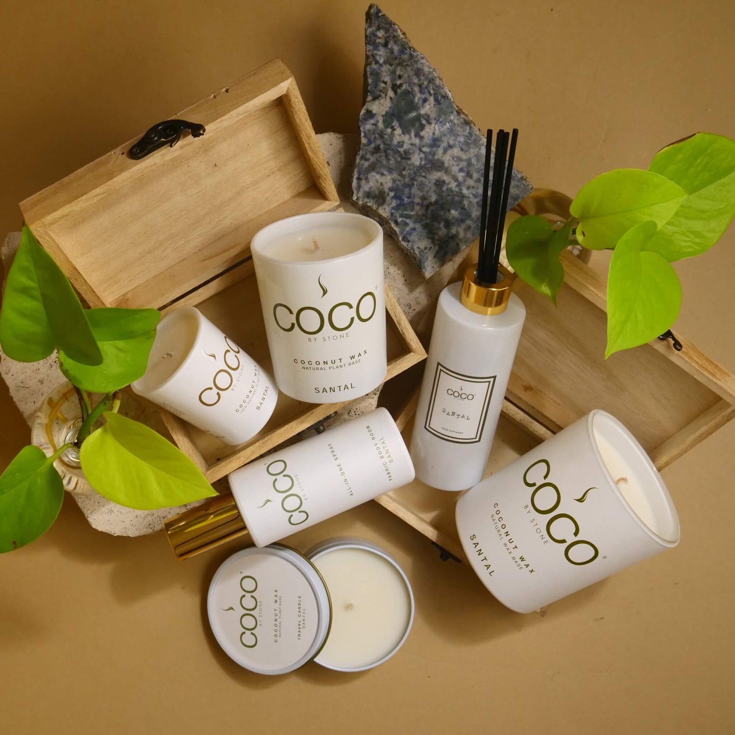 5oz Santal Reed Diffuser