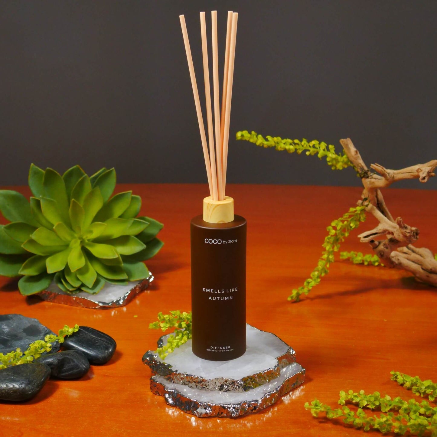 5oz Smells Like Autumn Reed Diffuser