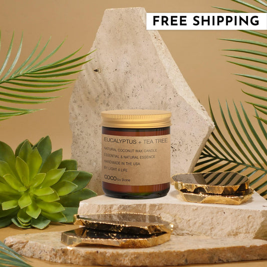 3.5oz Eucalyptus + Tea Tree Natural Coconut Apricot Wax Candle