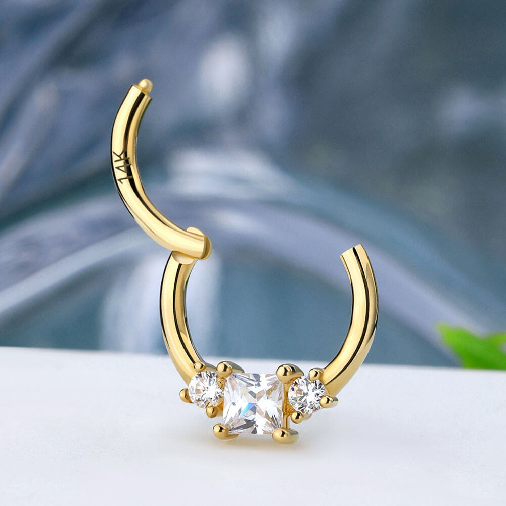 14K Gold CZ Daith & Septum Segment Ring