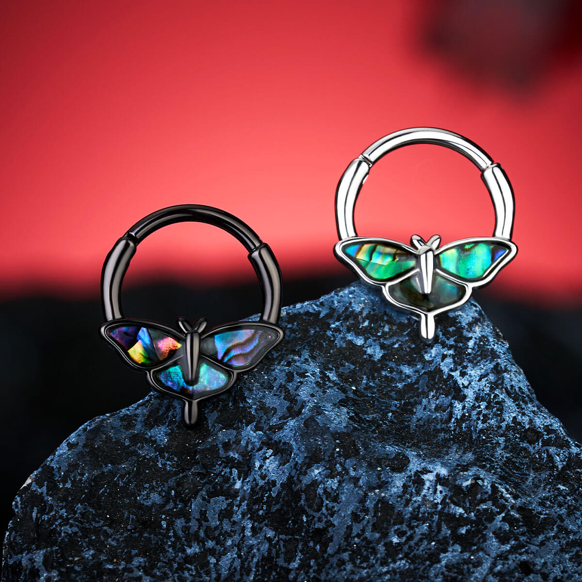 Abalone Moth Segment Septum Ring