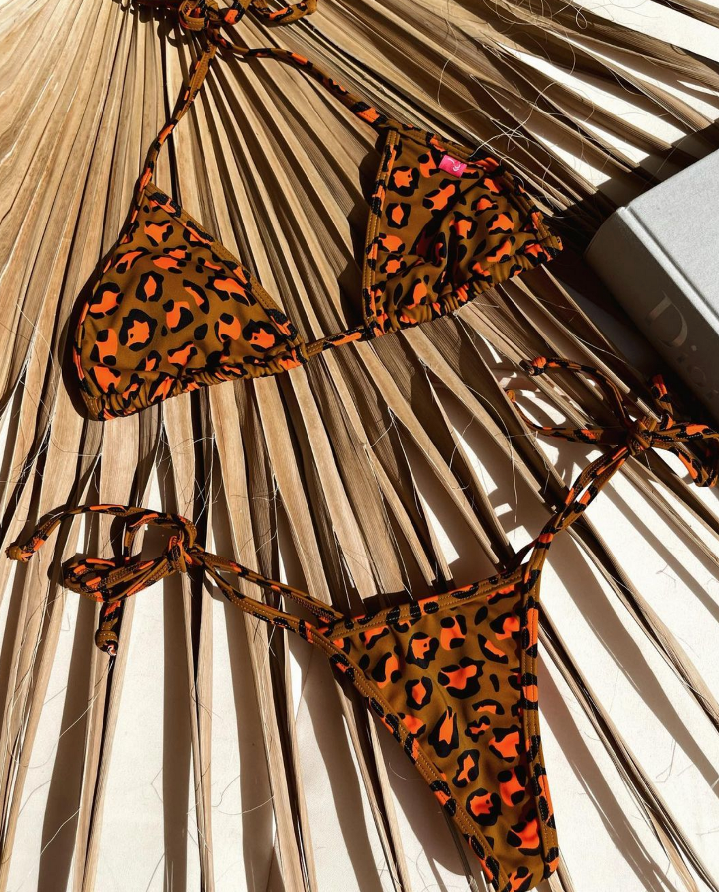 Rio: Thong Bikini in Bedrock