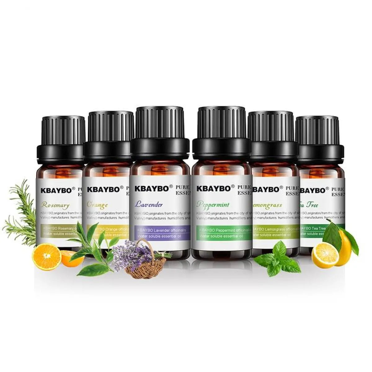 Essential Oils 6 Pcs Set