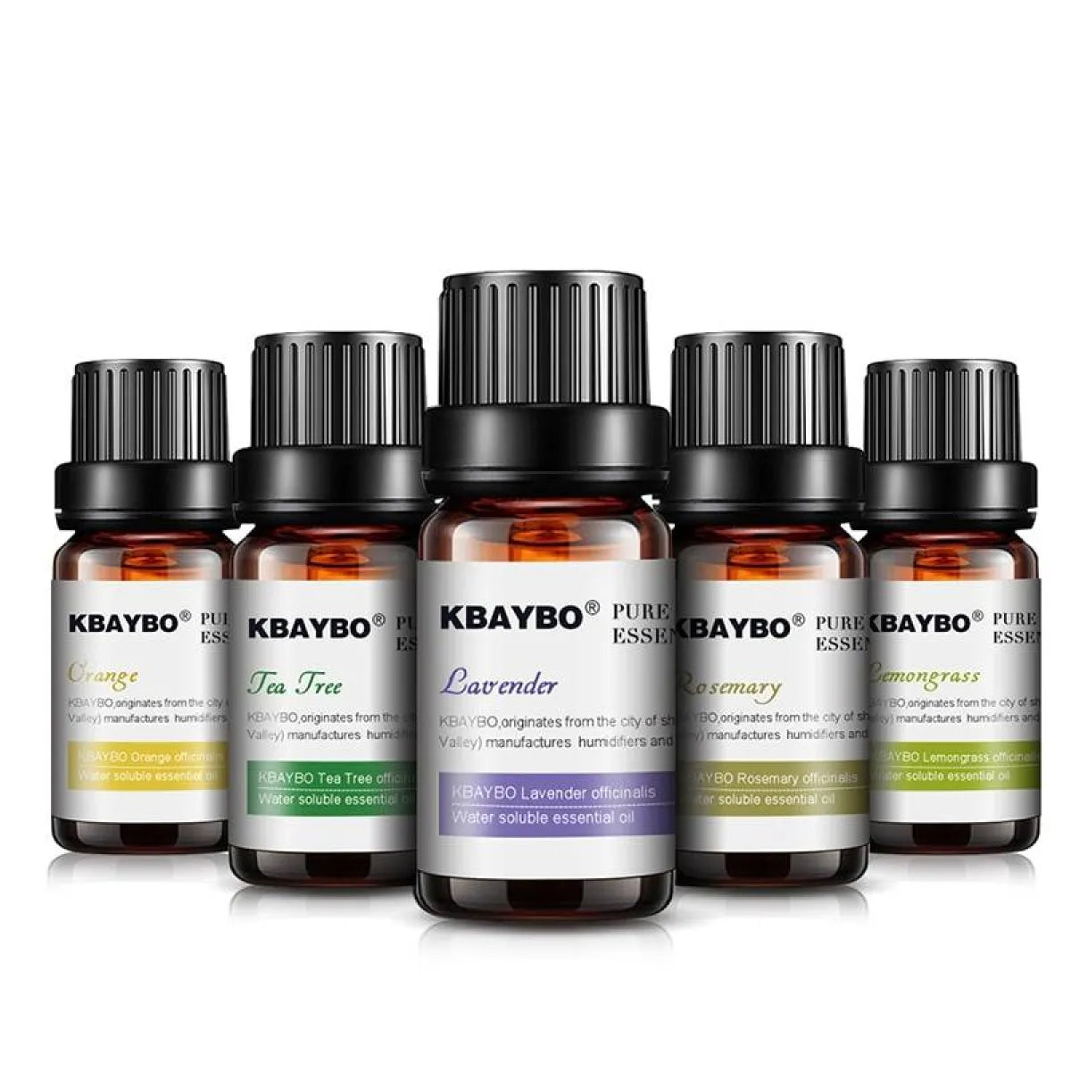 Essential Oils 6 Pcs Set