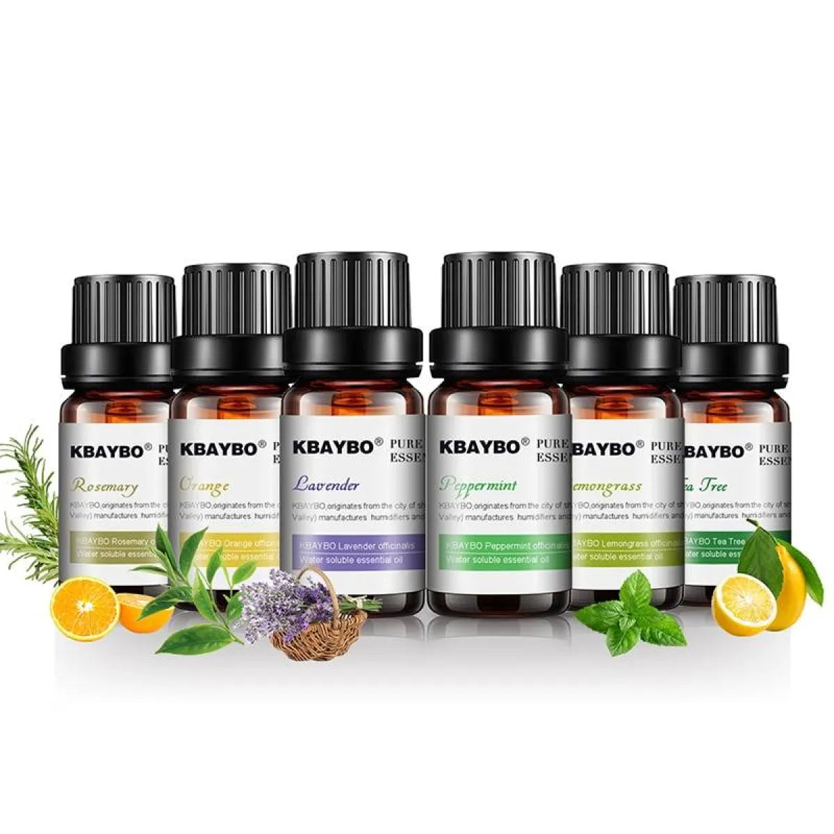 Essential Oils 6 Pcs Set