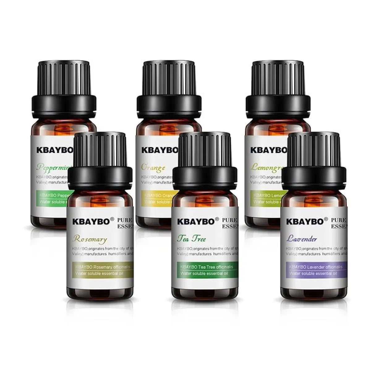 Essential Oils 6 Pcs Set