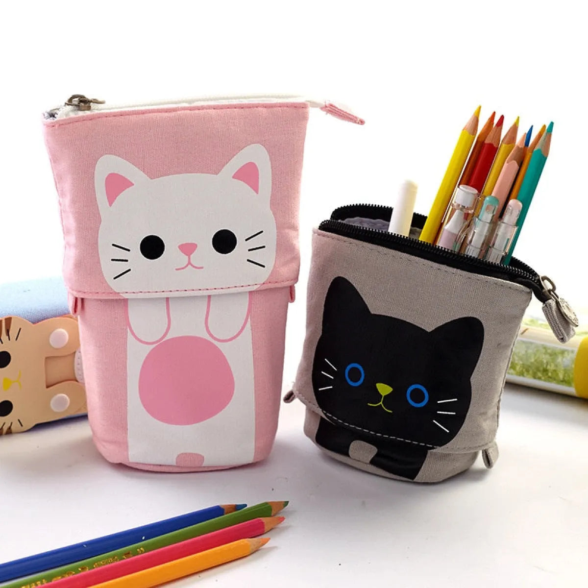 Kawaii Pencil Bags