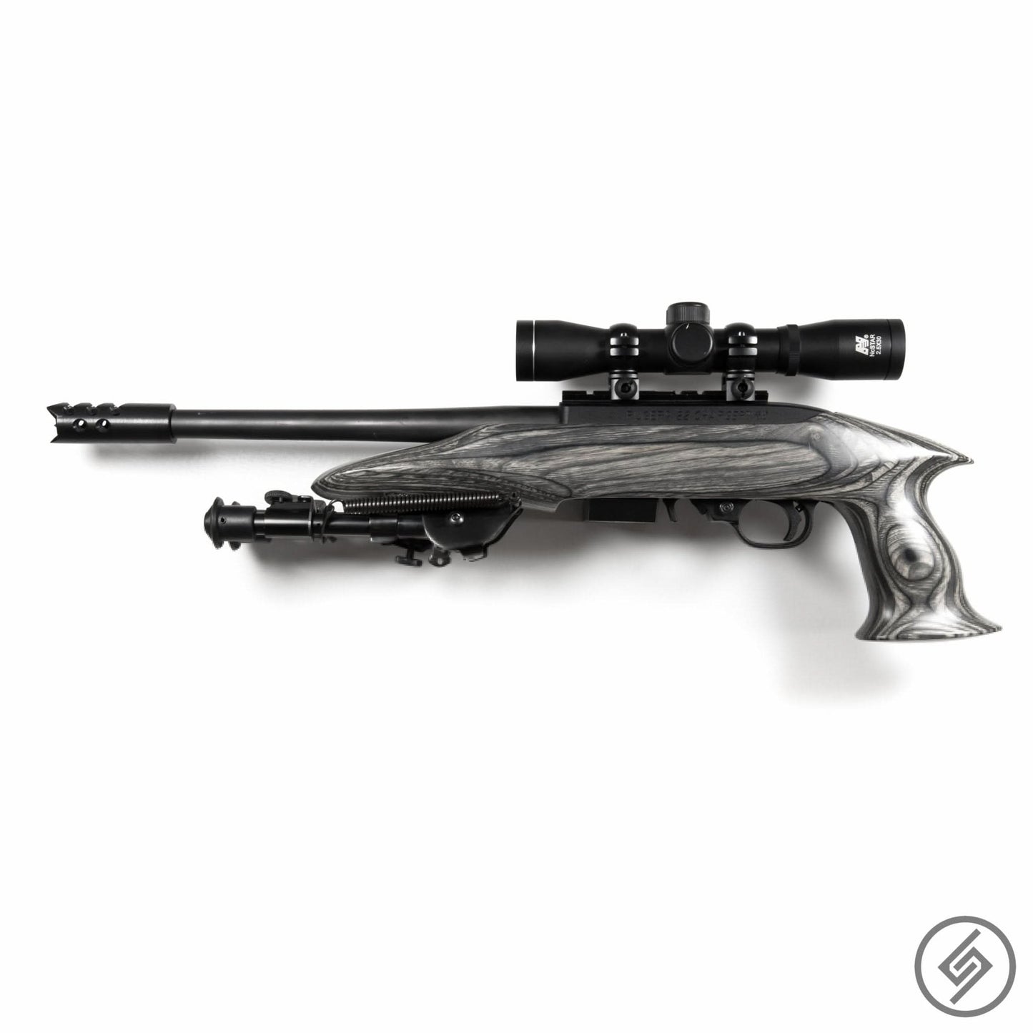 Ruger 10-22 Mount