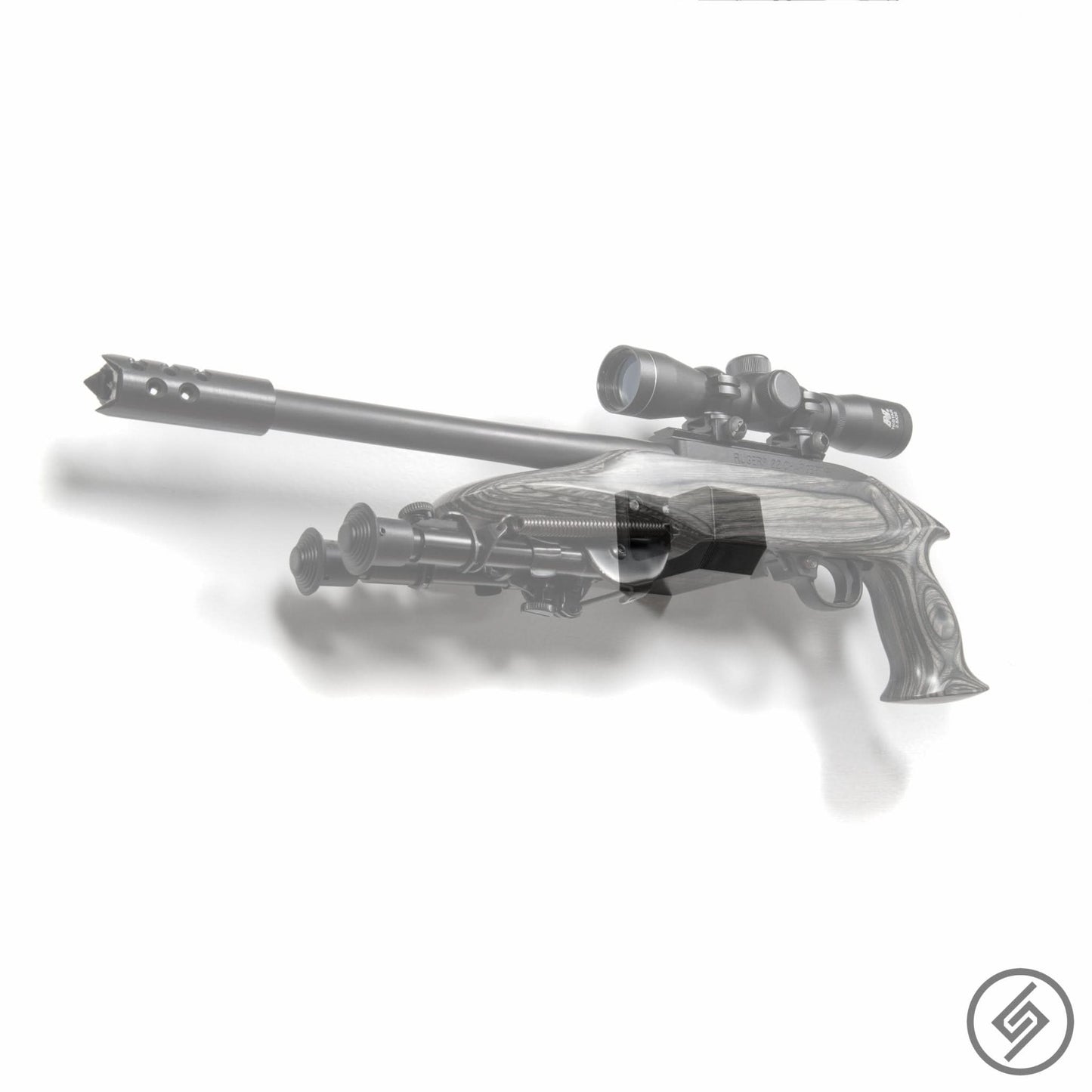 Ruger 10-22 Mount