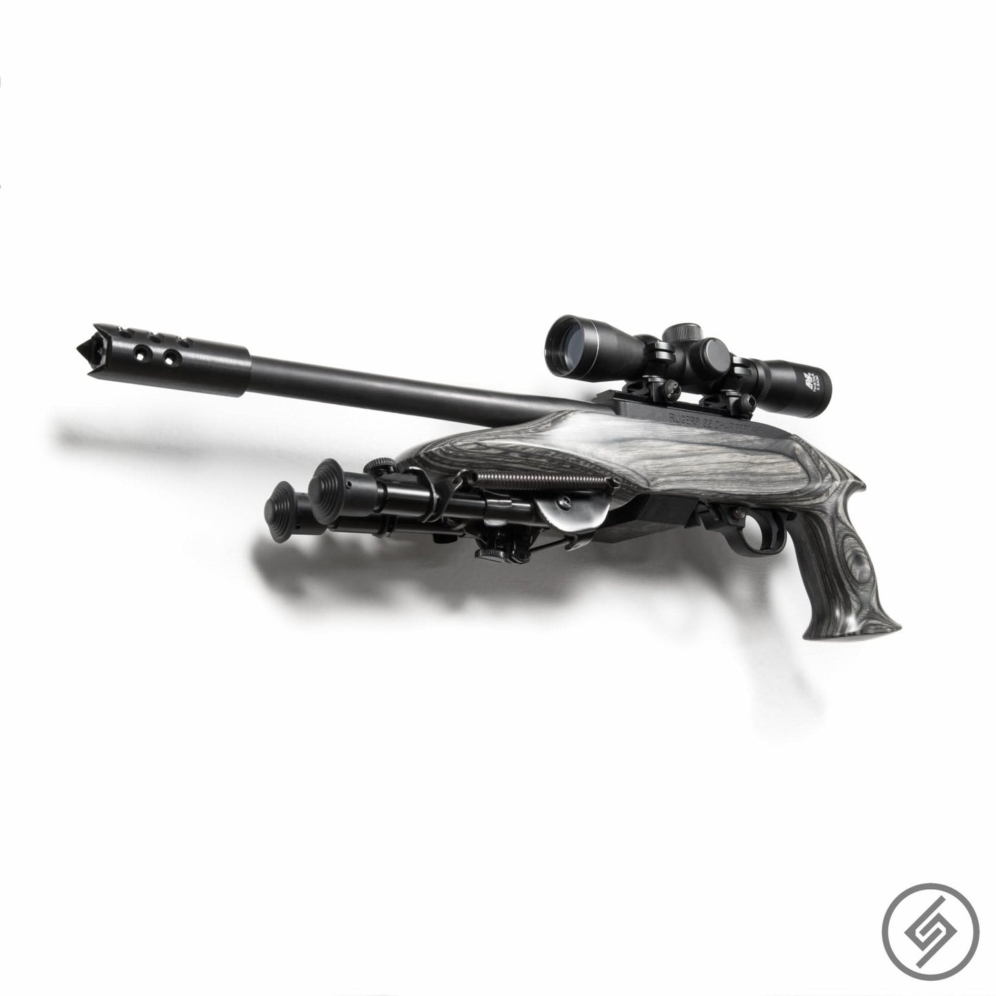 Ruger 10-22 Mount