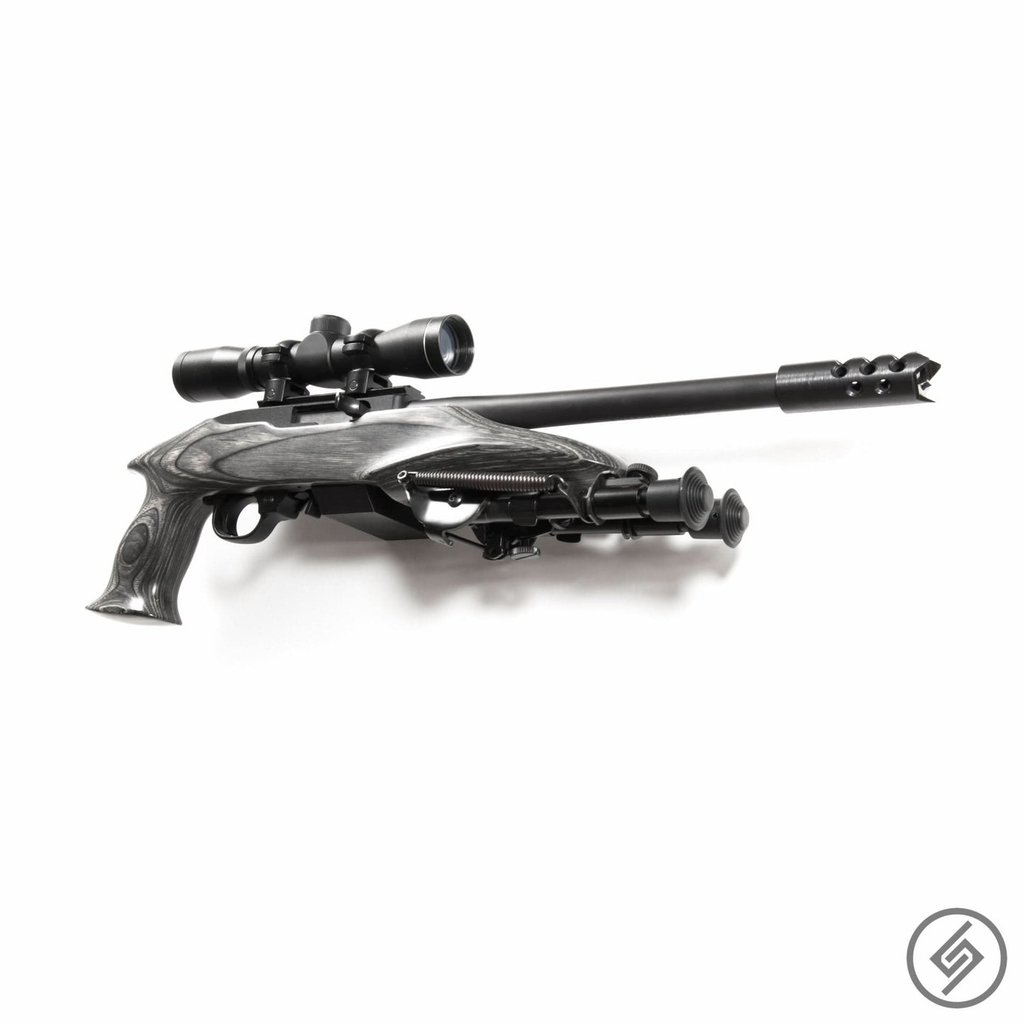 Ruger 10-22 Mount