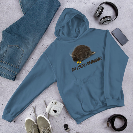 Am I Being detained? Alaska LP Unisex Hoodie