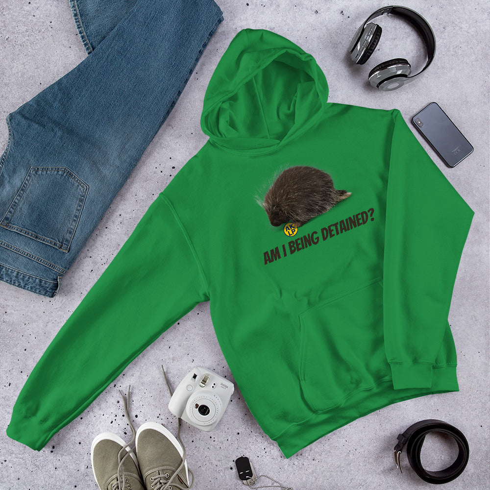 Am I Being detained? Alaska LP Unisex Hoodie