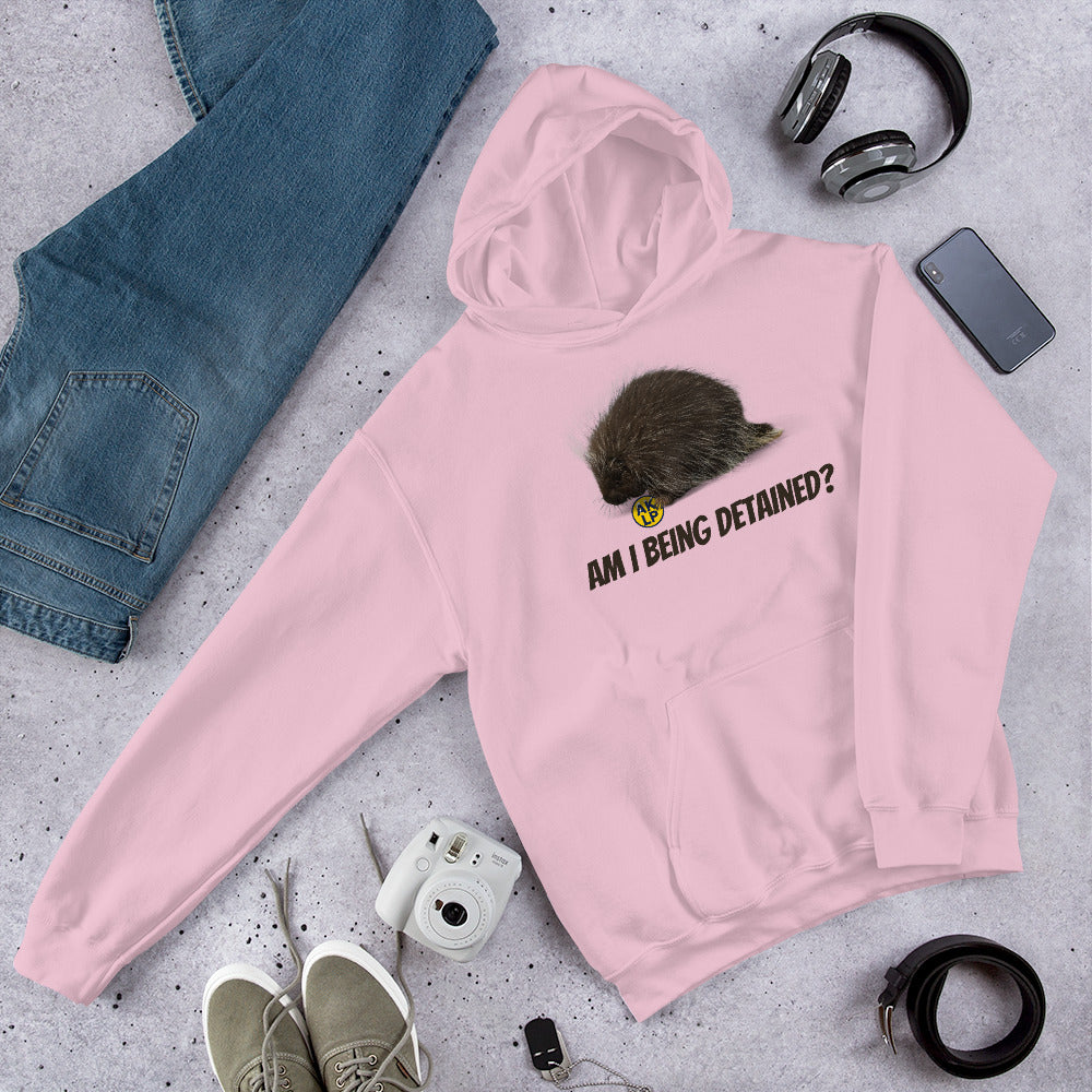 Am I Being detained? Alaska LP Unisex Hoodie