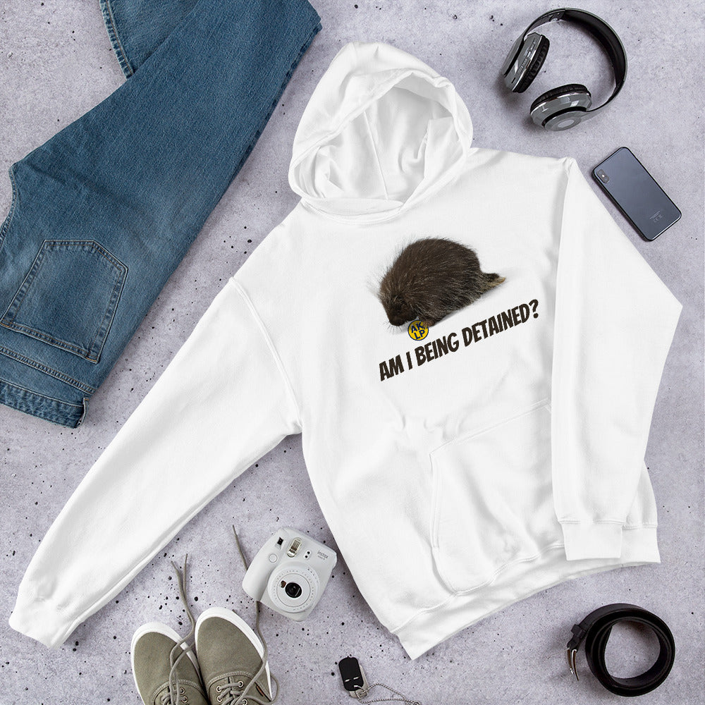 Am I Being detained? Alaska LP Unisex Hoodie